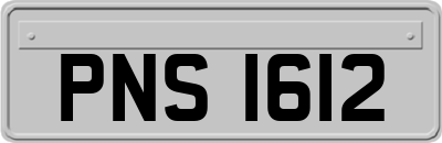 PNS1612