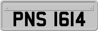 PNS1614