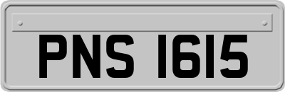 PNS1615