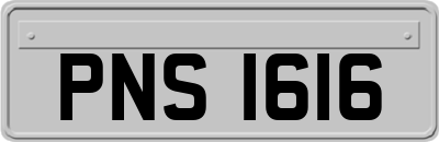 PNS1616