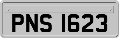PNS1623