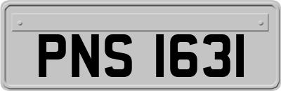 PNS1631
