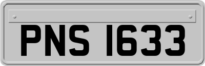 PNS1633