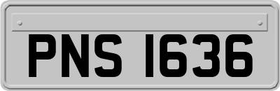 PNS1636