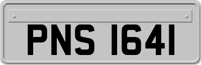 PNS1641