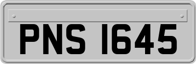 PNS1645