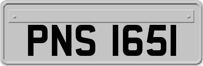 PNS1651