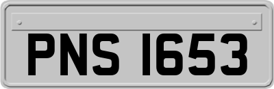 PNS1653