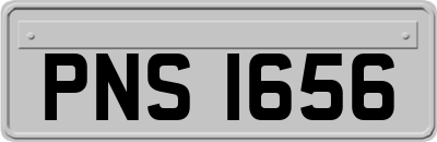 PNS1656