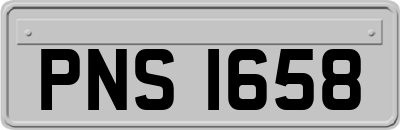 PNS1658