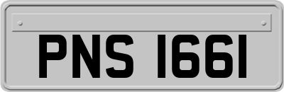 PNS1661