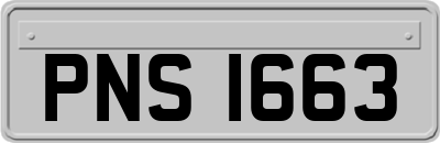 PNS1663