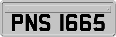 PNS1665