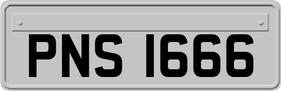 PNS1666