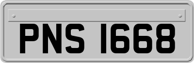 PNS1668