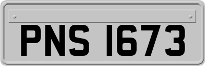 PNS1673