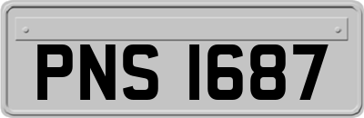 PNS1687