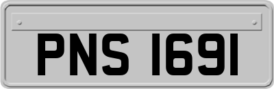 PNS1691