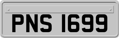 PNS1699