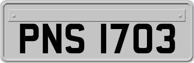 PNS1703
