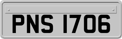 PNS1706