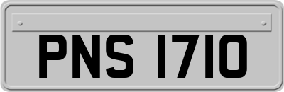 PNS1710