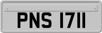 PNS1711
