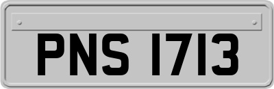 PNS1713
