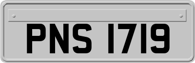PNS1719