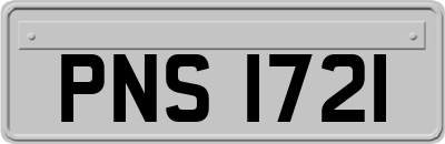 PNS1721