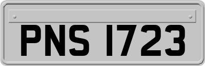 PNS1723