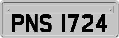 PNS1724