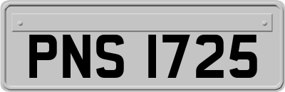 PNS1725