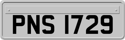 PNS1729