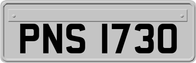 PNS1730