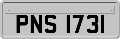 PNS1731