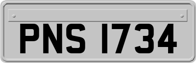 PNS1734