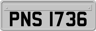 PNS1736