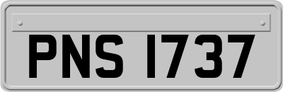PNS1737