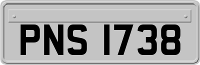 PNS1738