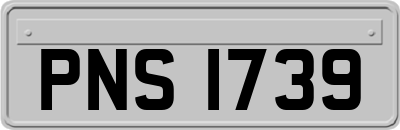 PNS1739