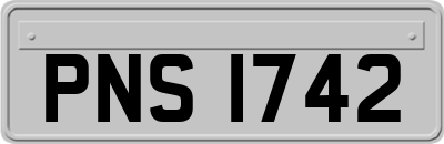 PNS1742
