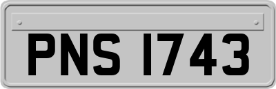 PNS1743
