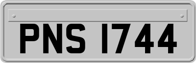 PNS1744