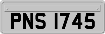 PNS1745
