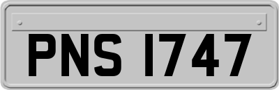 PNS1747