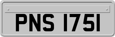 PNS1751