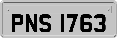 PNS1763