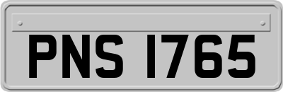PNS1765