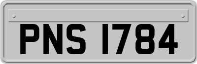 PNS1784